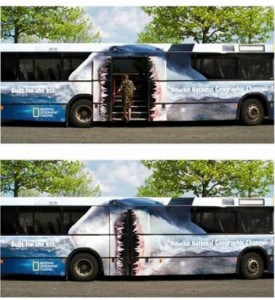 Haj på bus